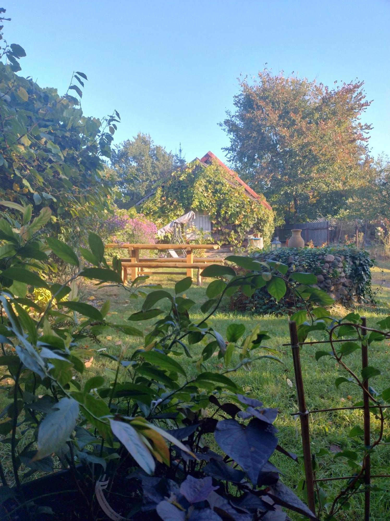 Dom Sloneczko Pokoje Do Wynajecia W Bialowiezy Bialowieza Exterior photo